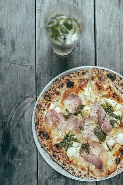 uuni pizza oven instructions