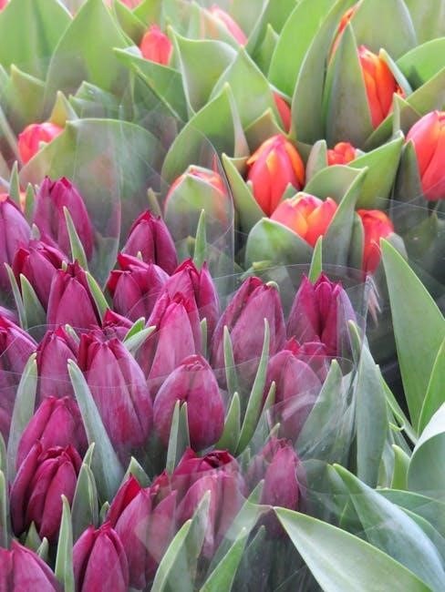 horticulture award pay rates 2024 pdf