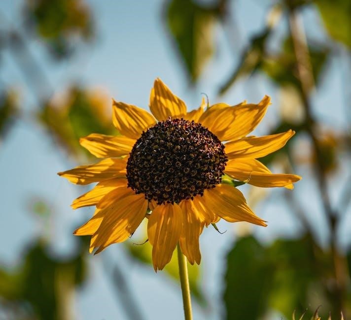 cub cadet service manual pdf free download